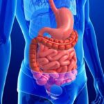 Kebiasaan Sehari-Hari yang Mendukung Kesehatan Lambung